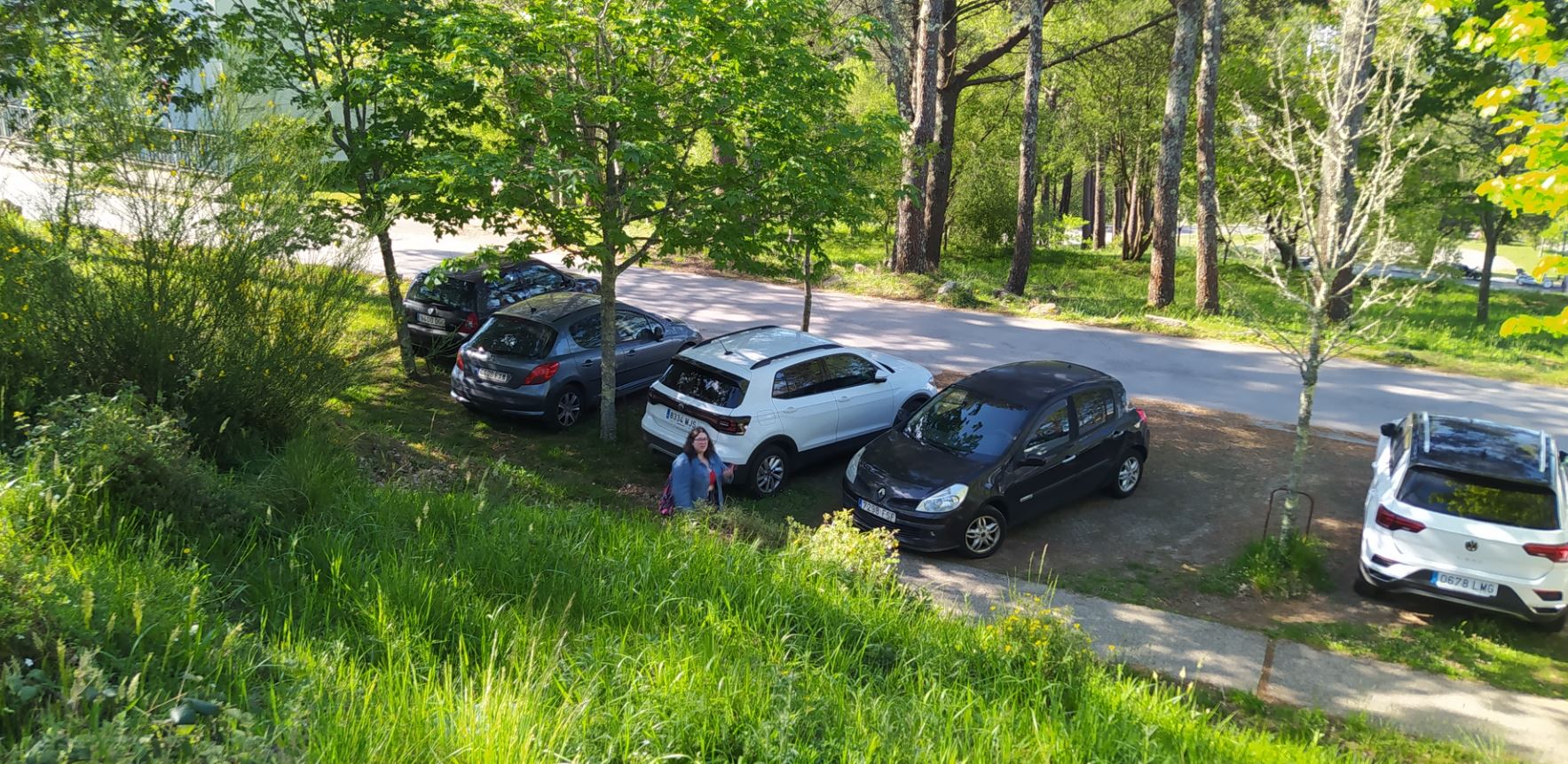 estacionamentos verdes